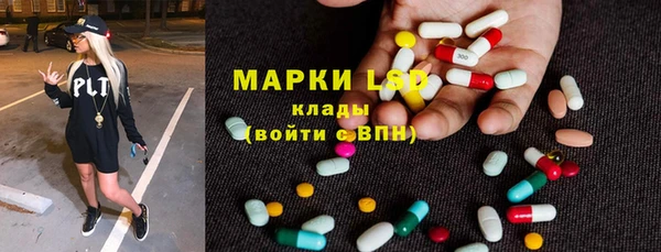 сатива Армянск