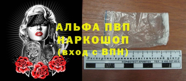 сатива Армянск