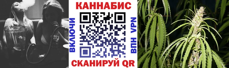 kraken ССЫЛКА  где купить наркоту  Новоалександровск  Шишки марихуана ГИДРОПОН 